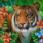 Be tigers