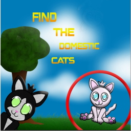 Find the Domestic Cats