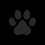 Maxs paws