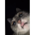 Kakaksnbsbsbd