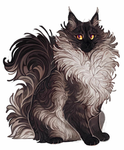 Petgroup1