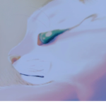 Warrior Cat Ultimate Edition Club