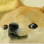 doge studios creativity