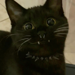 -C0NFU$3D