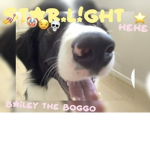 star.l!ght