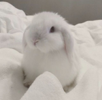 PATICIK!