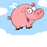 team pigs