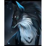 Dark wolfs 909