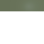 ɪɴᴛᴇɴᴛɪᴏɴᴀʟʟʏ ʙʟᴀɴᴋ