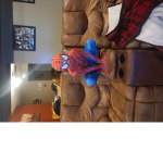 The SpiderMan's
