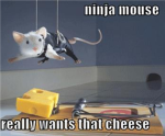 Cheese Ninjas