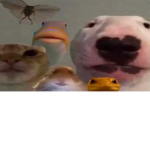 The Rat Government