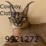 Cowboys Clothes