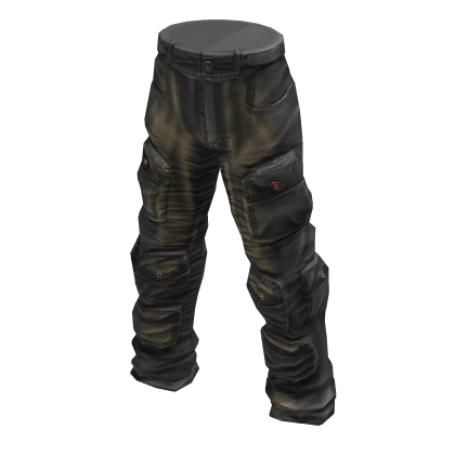 multipocket cargo pants (super detailed)