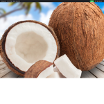 Team coconut squad!