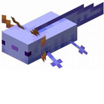 Minecraft Axolotl's Group