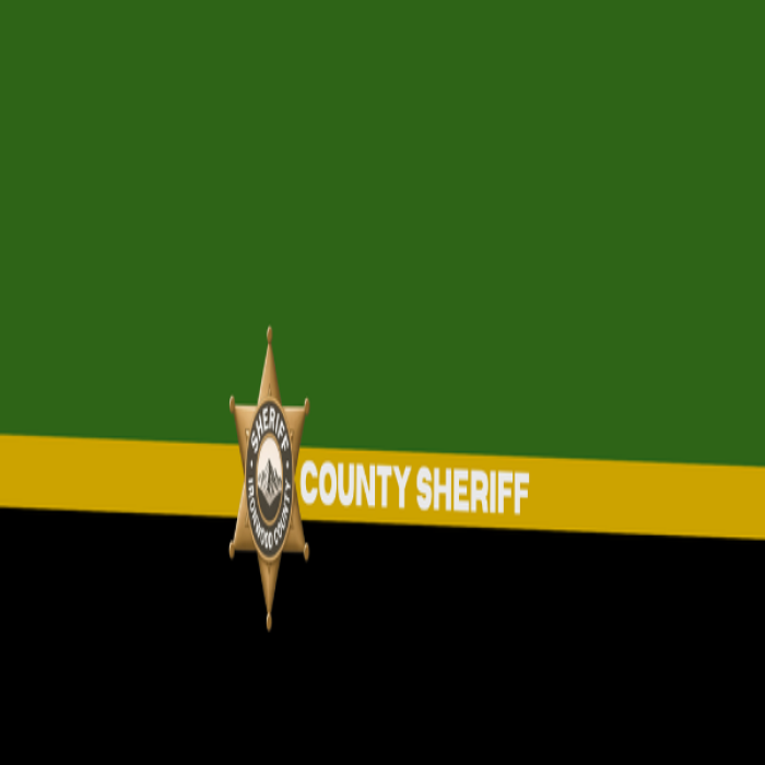COUNTY SHERIFF (1) Roblox decal