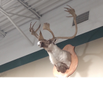 Outlaw hunting