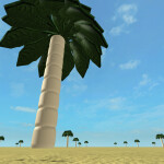 ~ Build On The Beach Classic~