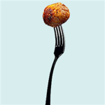meatball lovers of roblox