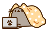 Pusheen the cats place