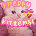 Preppy Kittens!