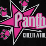 Pink Panthers Cheerleading