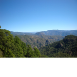 Sierra de Durango