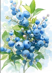 Berries on a bush