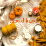 tanned leaves