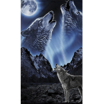 Wolfs through the night