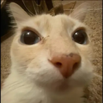 Gimme Some Milk