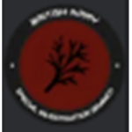 Day's [SIB] Special Investigation Branch