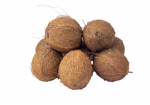 The Coconut Commando Clan