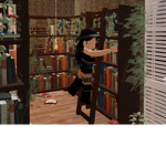 A peaceful Library