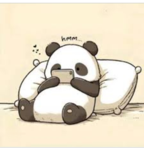 Panda team:3