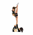SENIOR ELITE TEAM!