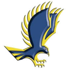 Eagle Fusion