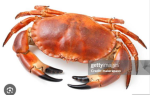 Strongest crabs