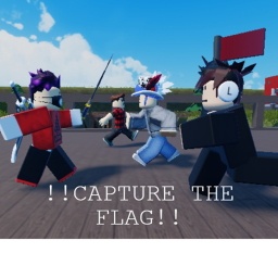 Capture the Flag!!