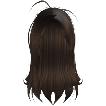 Brown Scruffy Long Shag