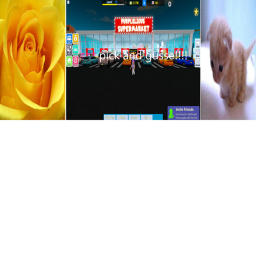 pick a portal
