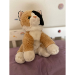 Superstar Outfits