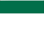 United States Army Military Police Official