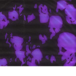 UnknownBanz