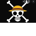 Straw Hat Pirates...