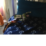 Toy story movies