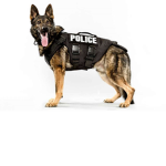 Police dogs United Kingdom