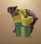 HideK1ng community