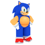 Sonic The Hero Fan